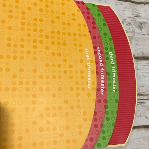 The Belly Book A Nine‎ Month Pregnancy Journal - Picture 7 of 11